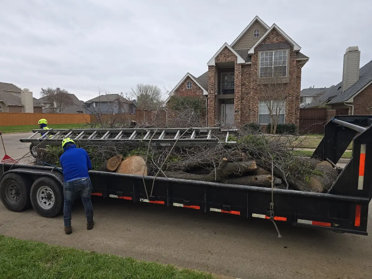 Expert Lot Clearing with proper safety equipment in Poplar Grove